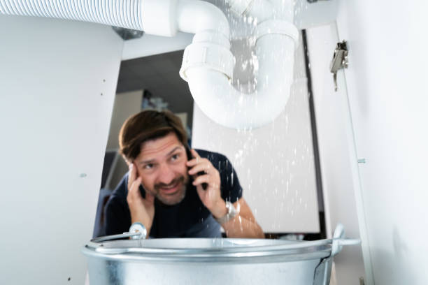 Best Faucet Repair  in Appleton, MN