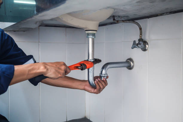 Best Residential Plumbing Services  in Appleton, MN